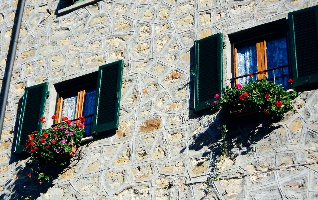 Andante Appartamenti Castelnuovo di Val di Cecina Kültér fotó