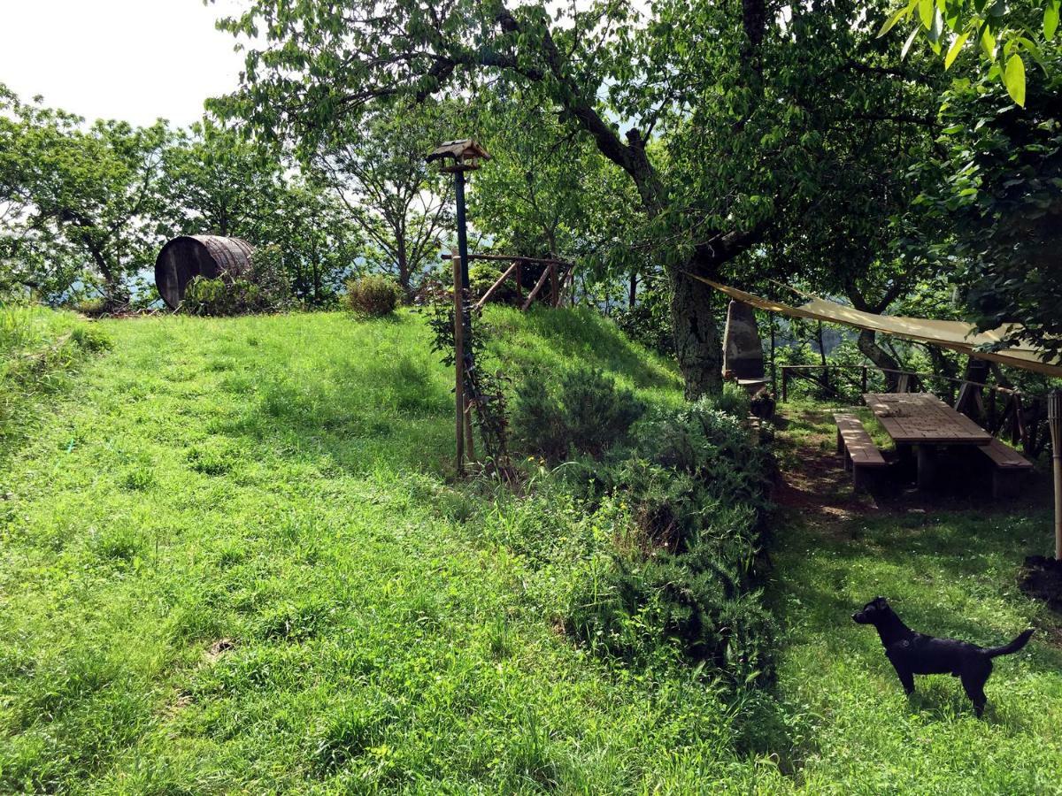 Andante Appartamenti Castelnuovo di Val di Cecina Kültér fotó