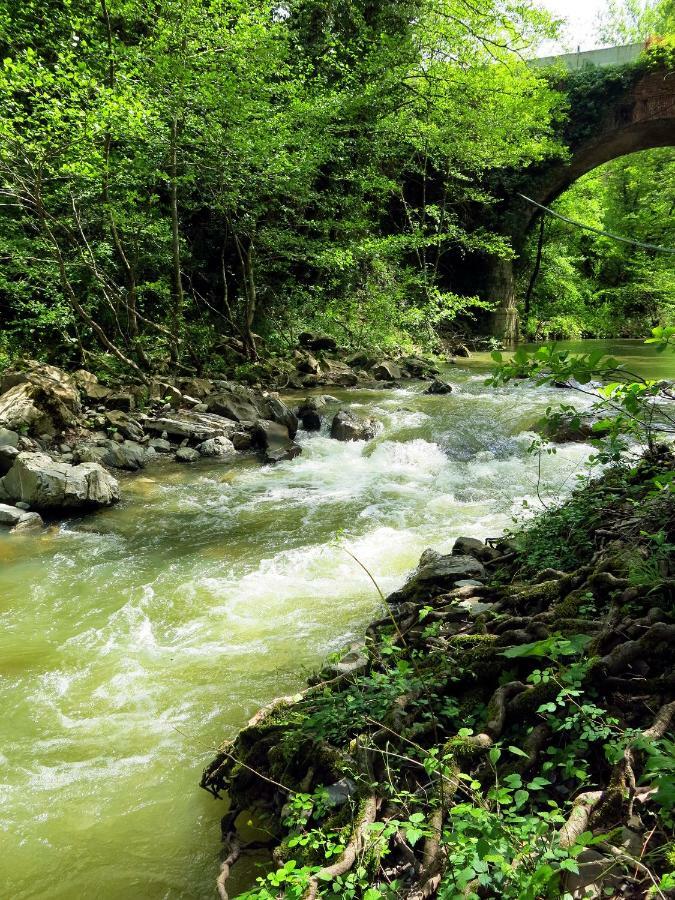 Andante Appartamenti Castelnuovo di Val di Cecina Kültér fotó