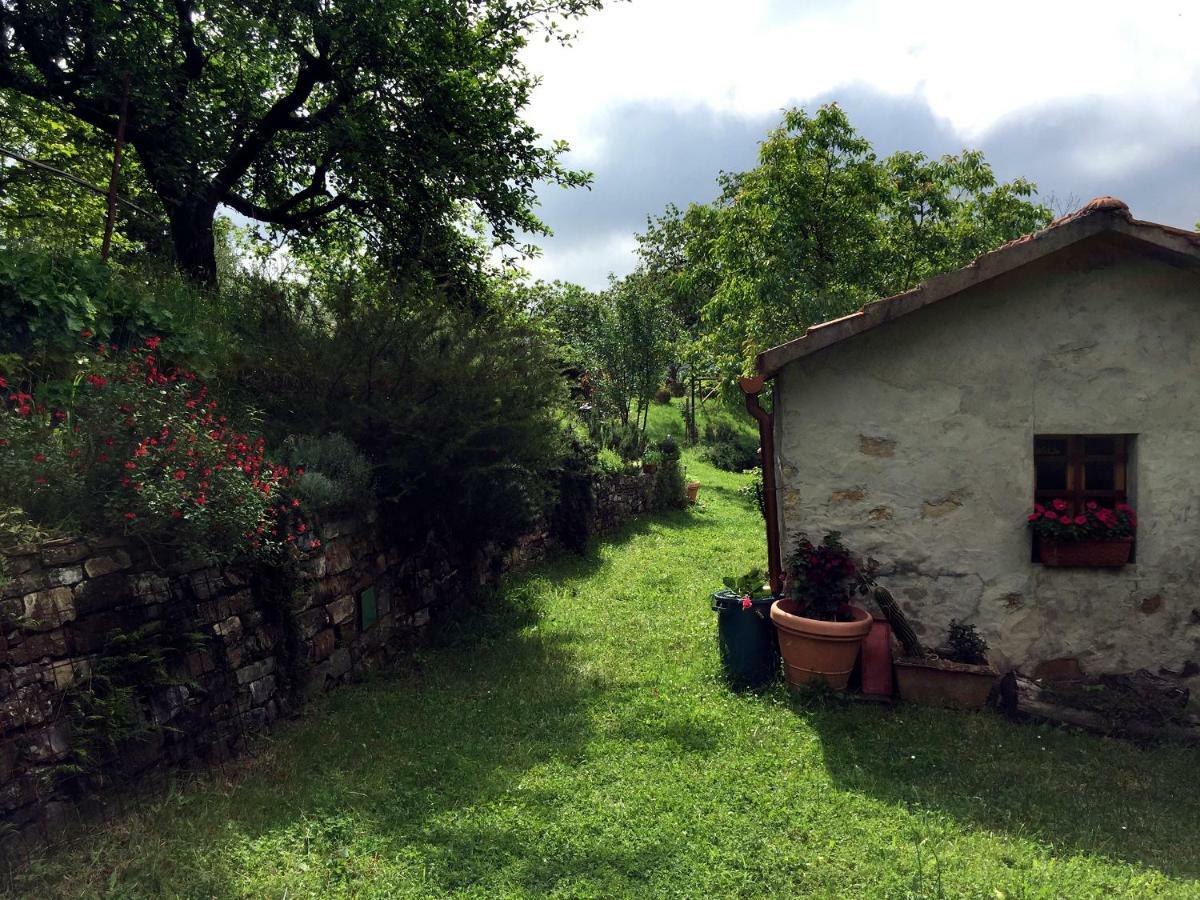 Andante Appartamenti Castelnuovo di Val di Cecina Kültér fotó
