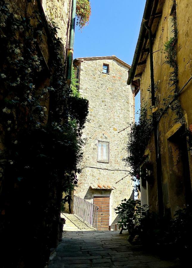 Andante Appartamenti Castelnuovo di Val di Cecina Kültér fotó